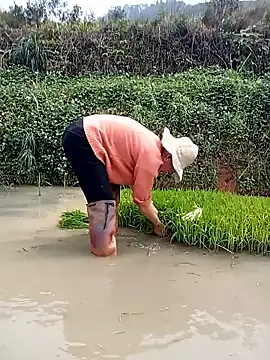 Girl cutee online show from March 16, 2026, 6:39 am