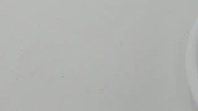 ariloe quintero online show from April 30, 2026, 2:01 pm