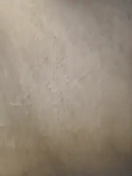 Telugumistress online show from January 8, 2026, 12:07 pm