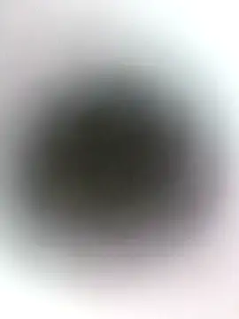 novio-de-la-tarde online show from April 24, 2026, 12:57 am