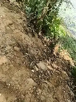 Sheela Sex90 online show from April 17, 2026, 5:32 am