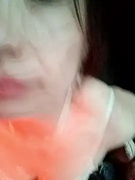 boiboi001 online show from February 2, 2026, 9:08 am