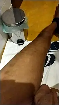 Novinhoie online show from February 17, 2026, 9:32 pm