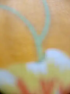 Hooghlypinkivabi online show from February 20, 2026, 2:28 pm