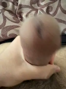 beastcumm online show from April 5, 2026, 8:11 am