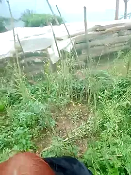 yeutinh00 online show from March 13, 2026, 4:41 am