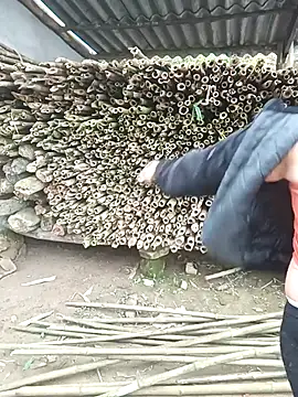 yeutinh00 online show from March 14, 2026, 5:13 am