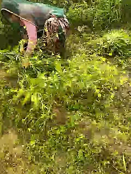 hornycouple20000 online show from January 8, 2026, 5:43 am