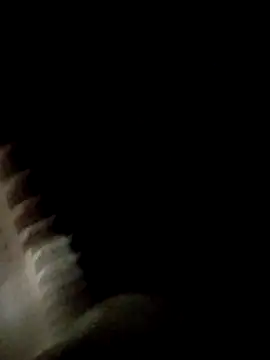 Fefe2805 online show from April 1, 2026, 2:12 am