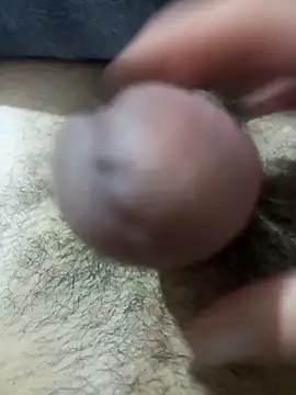 So1sh online show from February 26, 2026, 4:33 am