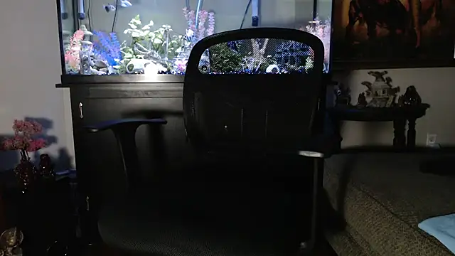 EspanolVato online show from January 14, 2026, 12:05 am