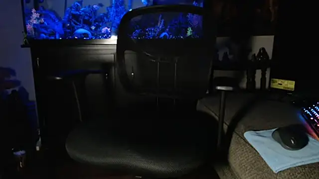 EspanolVato online show from February 5, 2026, 10:42 am