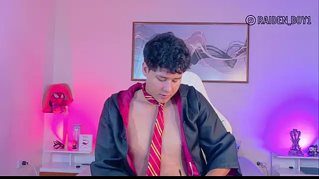 Snapshot of RaidenBoy11 chatting on January 11, 2026, 7:08 pm RaidenBoy11 online show from January 11, 2026, 7:08 pm