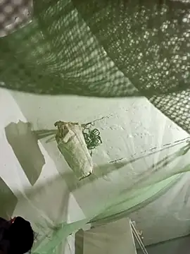 Jan 692 online show from February 17, 2026, 2:57 pm