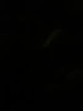 Herr Snusk online show from July 1, 2026, 12:12 am