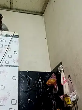 Sana-vn online show from March 6, 2026, 11:23 pm