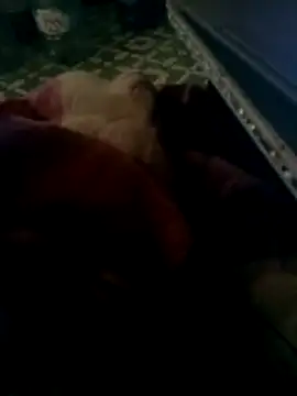 thich lo online show from March 15, 2026, 4:35 pm