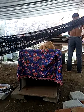 cielo420 online show from April 23, 2026, 5:37 pm