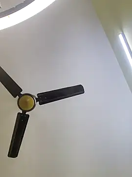 trinasa online show from January 10, 2026, 6:31 pm