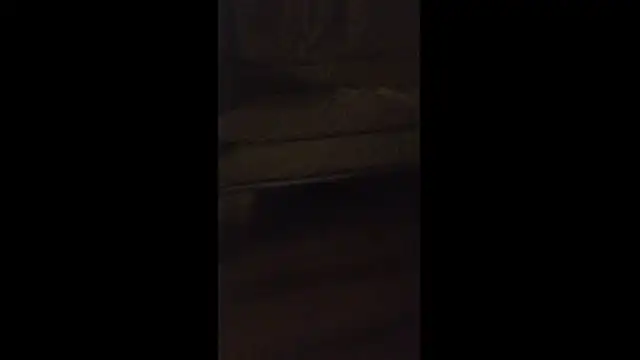 dongoralesko77 online show from April 11, 2026, 3:00 am