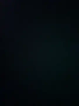 wy2026 online show from March 12, 2026, 7:31 pm