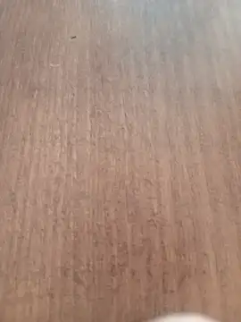 Kmali5465 online show from February 11, 2026, 5:07 pm