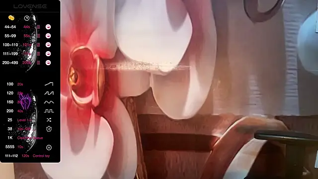 farfarwa online show from February 9, 2026, 6:23 pm