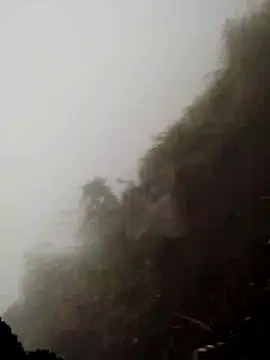 cdyyds-69 online show from March 11, 2026, 1:55 am