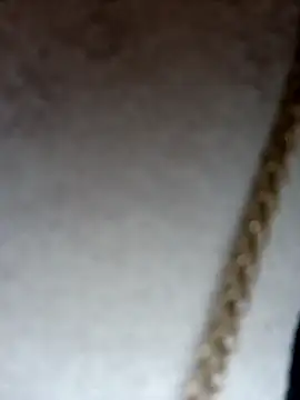 Dante Knox online show from February 8, 2026, 12:30 pm