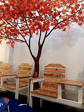 Dante Knox online show from February 24, 2026, 11:41 am