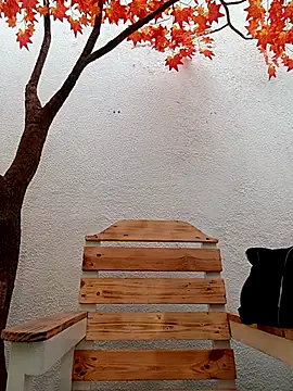 Dante Knox online show from March 11, 2026, 11:49 am