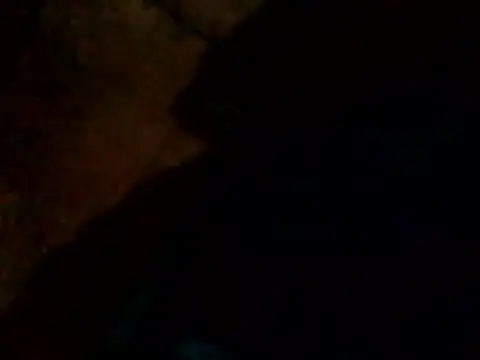 Guanatos13 online show from February 24, 2026, 4:21 am