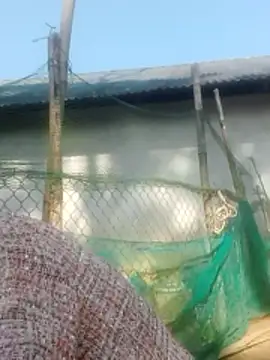 jjennyyy online show from January 12, 2026, 3:23 am