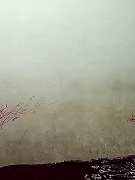 Snapshot of Sexycoupel556 chatting on March 21, 2026, 10:31 am Sexycoupel556 online show from March 21, 2026, 10:31 am