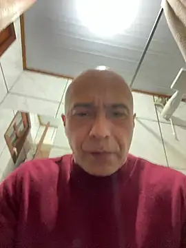dogfrota online show from June 12, 2026, 9:14 pm