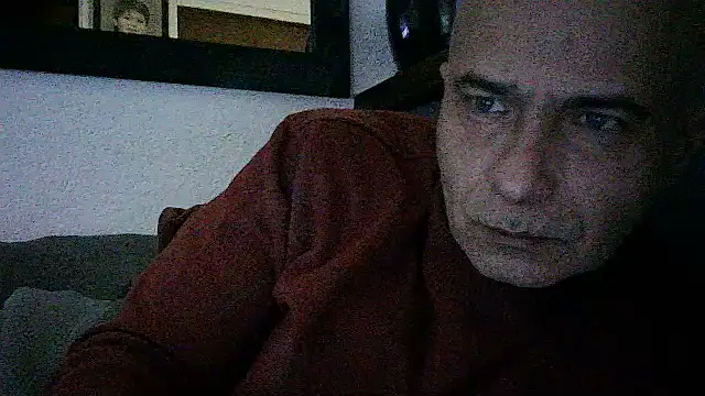 dogfrota online show from June 14, 2026, 8:22 pm