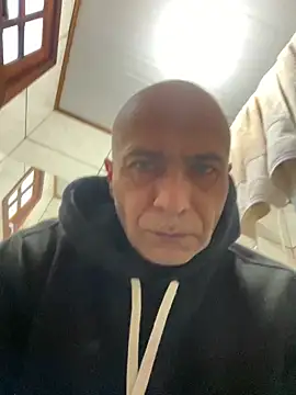 dogfrota online show from June 15, 2026, 5:59 pm