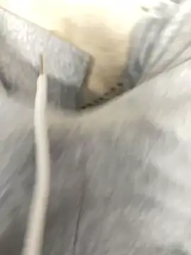 Bebun online show from January 17, 2026, 3:00 am