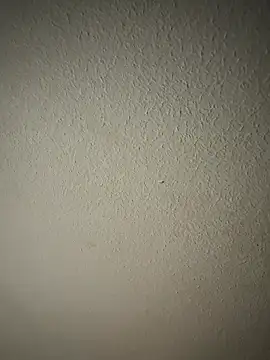 zumma00 online show from January 17, 2026, 11:37 am