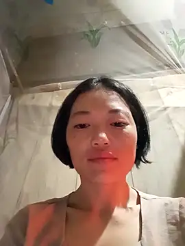 kotaka-shoow online show from February 8, 2026, 10:24 pm