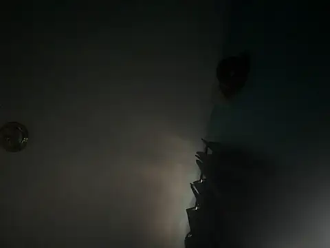 CcincoVilla online show from February 24, 2026, 1:20 pm