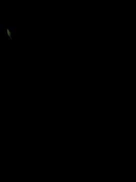 big12phase online show from March 14, 2026, 4:51 am