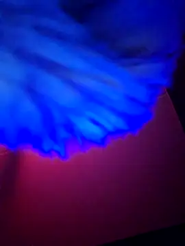 dewimp1 online show from February 6, 2026, 6:18 am