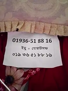 Snapshot of maisamim2 chatting on March 7, 2026, 8:22 am maisamim2 online show from March 7, 2026, 8:22 am