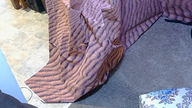 Snapshot of BusyB1983 chatting on March 20, 2026, 12:54 pm BusyB1983 online show from March 20, 2026, 12:54 pm