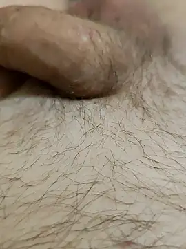 Halunja online show from February 3, 2026, 7:30 pm