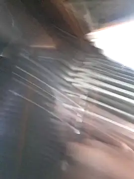 Peterveero12 online show from March 16, 2026, 4:33 pm