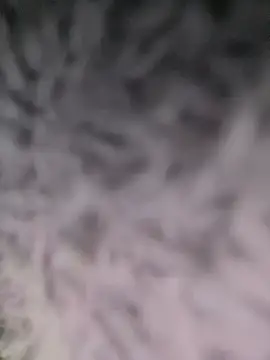 Puka2001 online show from March 2, 2026, 6:14 am