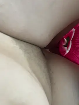 teubrinquedinho online show from February 24, 2026, 6:00 am