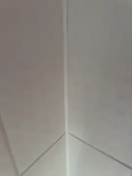 fali35 online show from February 17, 2026, 2:13 pm